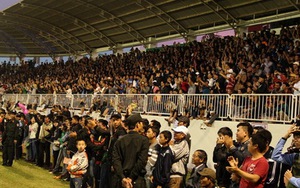 Cảnh cáo và phạt 10 triệu đồng BTC trận đấu CLB HA.GL vì để 'vỡ sân'